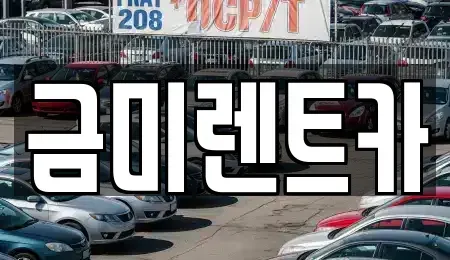 서울특별시 종로구 명륜1가 렌트카 전문 금미렌트카