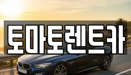 서울특별시 종로구 명륜1가 렌트카 전문 토마토렌트카