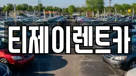 서울특별시 종로구 명륜1가 렌트카 전문 티제이렌트카