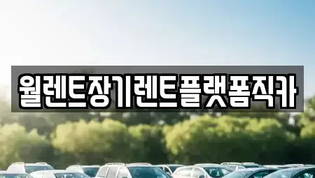 서울특별시 종로구 명륜1가 장기렌트카 전문 월렌트장기렌트플랫폼직카