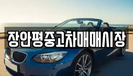 서울특별시 종로구 명륜1가 중고차매매 전문 장안평중고차매매시장