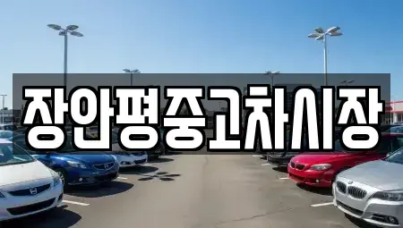 서울특별시 종로구 명륜1가 중고차매매 전문 장안평중고차시장