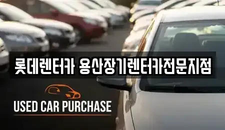 서울특별시 중구 북창동 장기렌트카 전문 롯데렌터카 용산장기렌터카전문지점