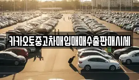 서울특별시 중구 북창동 중고차매입 전문 카카오토중고차매입매매수출판매시세