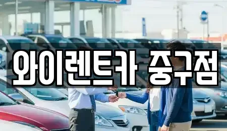 서울특별시 중구 황학동 렌트카 전문 와이렌트카 중구점