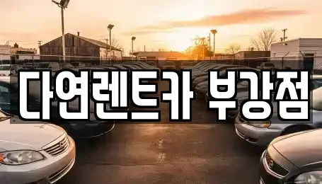 세종 부강면 렌트카 전문 다연렌트카 부강점