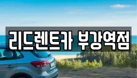 세종 부강면 렌트카 전문 리드렌트카 부강역점