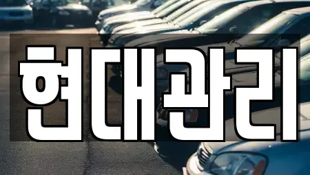 세종 부강면 렌트카 전문 현대관리