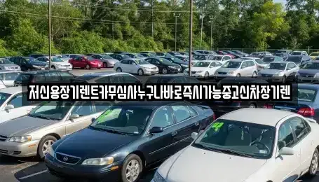 세종 부강면 장기렌트카,중고차,렌트카,단기렌트카,중고차매입,중고차매매