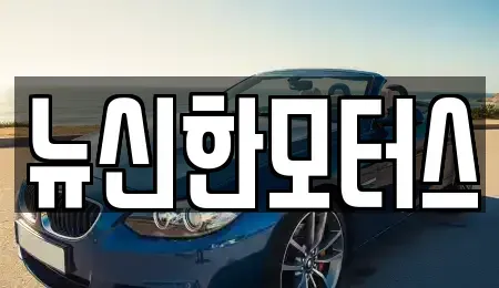 세종 부강면 중고차 전문 뉴신한모터스