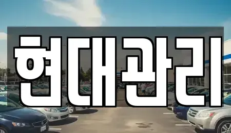 세종특별자치시 반곡동 렌트카 전문 현대관리