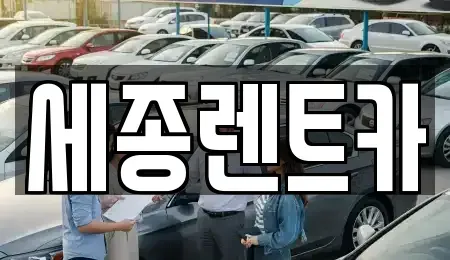 세종특별자치시 반곡동 장기렌트카 전문 세종렌트카