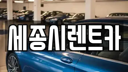 세종특별자치시 반곡동 장기렌트카 전문 세종시렌트카