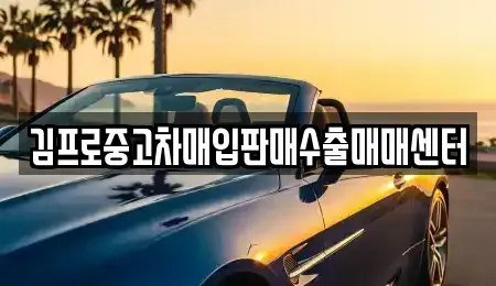 세종특별자치시 반곡동 중고차매매 전문 김프로중고차매입판매수출매매센터