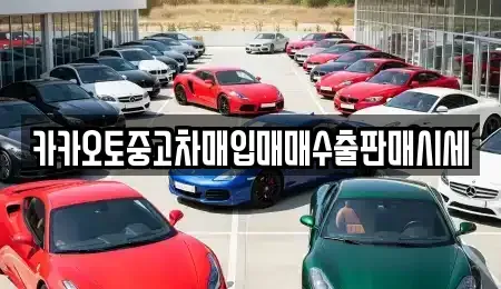 세종특별자치시 반곡동 중고차매매,단기렌트카,중고차매입,장기렌트카,중고차,렌트카