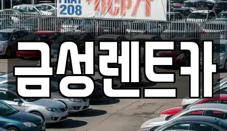 울산 중구 렌트카 전문 금성렌트카
