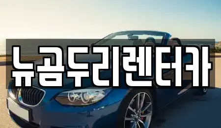 울산 중구 장기렌트카 전문 뉴곰두리렌터카