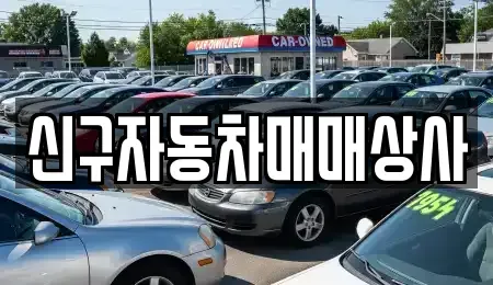 울산 중구 중고차 전문 신구자동차매매상사