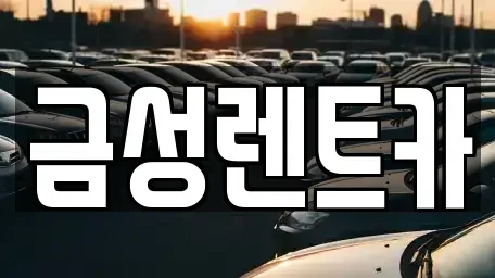 울산 중구 태화동 렌트카 전문 금성렌트카