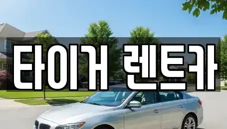 울산광역시 남구 달동 렌트카 전문 타이거 렌트카