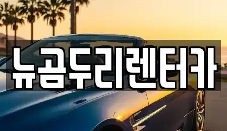 울산광역시 남구 달동 장기렌트카 전문 뉴곰두리렌터카