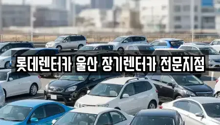 울산광역시 남구 달동 장기렌트카 전문 롯데렌터카 울산 장기렌터카 전문지점