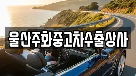 울산광역시 남구 달동 중고차매매 전문 울산주화중고차수출상사