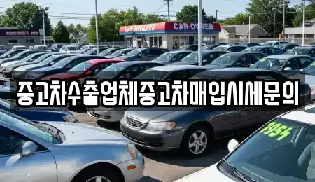 인천 남동구 만수동 중고차매매 전문 중고차수출업체중고차매입시세문의