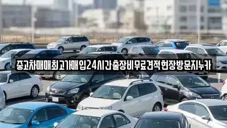 인천 서구 불로동 중고차 전문 중고차매매최고가매입24시간출장비무료견적현장방문지누카