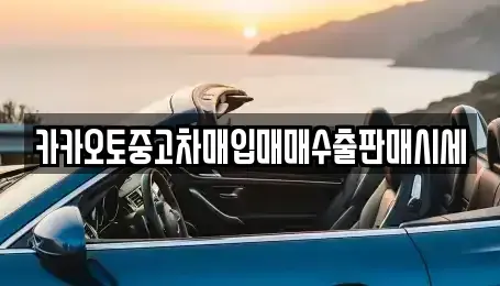 인천 연수구 중고차매입 전문 카카오토중고차매입매매수출판매시세