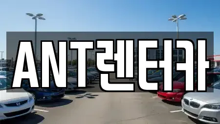 인천 중구 렌트카 전문 ANT렌터카