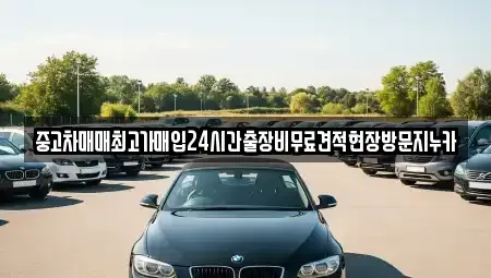 인천 중구 항동1가 단기렌트카,중고차매입,중고차매매,중고차,렌트카,장기렌트카