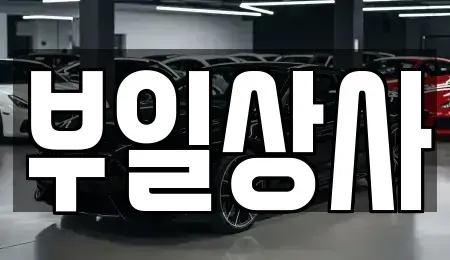 인천광역시 강화군 강화읍 중고차 전문 부일상사