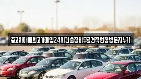 인천광역시 강화군 강화읍 중고차매입 전문 중고차매매최고가매입24시간출장비무료견적현장방문지누카