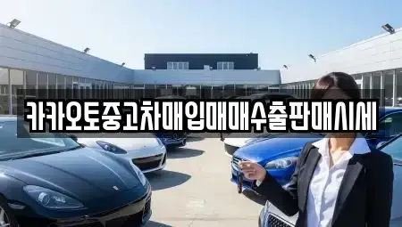 인천광역시 강화군 강화읍 중고차매입 전문 카카오토중고차매입매매수출판매시세