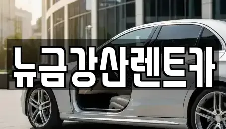 인천광역시 계양구 상야동 렌트카 전문 뉴금강산렌트카