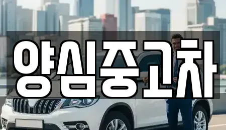 인천광역시 계양구 상야동 중고차매매 전문 양심중고차