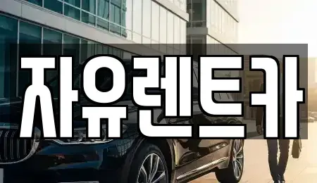인천광역시 서구 왕길동 렌트카 전문 자유렌트카