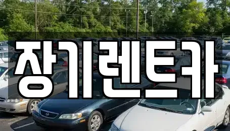 인천광역시 서구 왕길동 장기렌트카 전문 장기렌트카