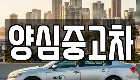 인천광역시 서구 왕길동 중고차매매 전문 양심중고차