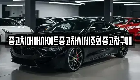 인천광역시 서구 왕길동 중고차매매 전문 중고차매매사이트중고차시세조회중고차구매
