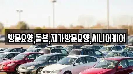 인천광역시 서구 왕길동 중고차매입 전문 방문요양,돌봄,재가방문요양,시니어케어