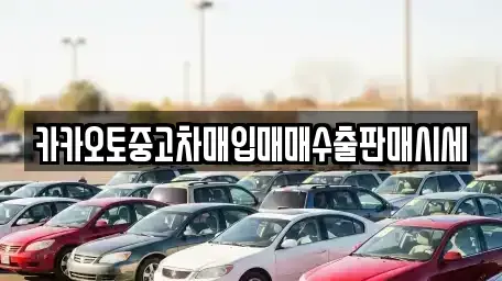 인천광역시 서구 왕길동 중고차매입 전문 카카오토중고차매입매매수출판매시세