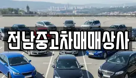 전남 강진군 성전면 중고차,렌트카,중고차매입,중고차매매,장기렌트카,단기렌트카