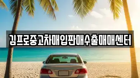 전남 강진군 성전면 중고차매입 전문 김프로중고차매입판매수출매매센터