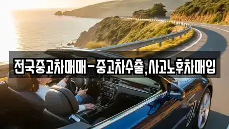 전남 목포시 만호동 중고차 전문 전국중고차매매-중고차수출,사고노후차매입
