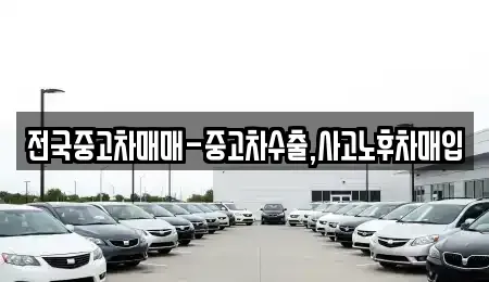 전남 목포시 만호동 중고차 전문 전국중고차매매-중고차수출,사고노후차매입