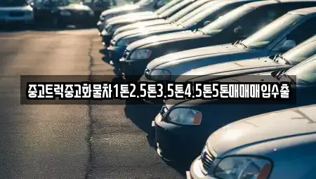 전남 목포시 만호동 중고차 전문 중고트럭중고화물차1톤2.5톤3.5톤4.5톤5톤매매매입수출