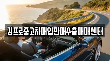 전남 목포시 만호동 중고차매입 전문 김프로중고차매입판매수출매매센터
