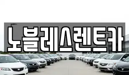 전남 목포시 석현동 렌트카 전문 노블레스렌트카